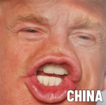 1756244964356.png
