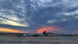 IMG_2641.jpeg