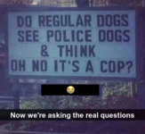 1756431351002.png