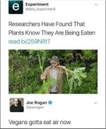 1000025427.jpg