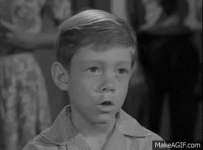 IMG_0214.gif