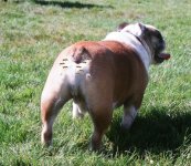 IMG_9807.jpeg