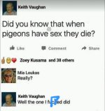 1000025494.jpg