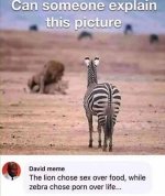 1757079576048.jpeg