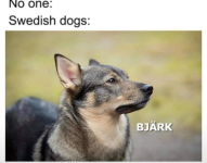 1757087061670.png
