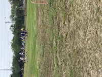 IMG_9612.jpeg