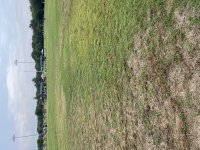 IMG_9613.jpeg