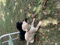 IMG_6937.jpeg