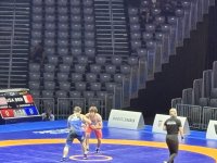 IMG_4640.jpeg