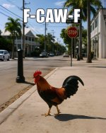 IMG_0022.jpeg