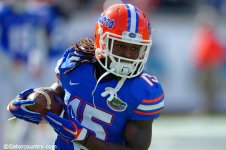 Florida-Gators-Florida-Football-Georgia-Bulldogs-Everbank-Field-Super-Gallery-November-1-2014-...jpg