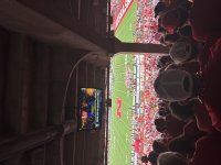 IMG_7647.jpeg