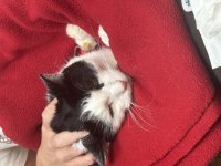 IMG_6531.jpeg