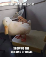 1758716849059.png