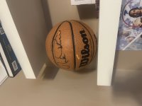 IMG_0500.jpeg