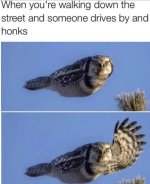 IMG_5359.jpeg