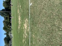 IMG_9864.jpeg