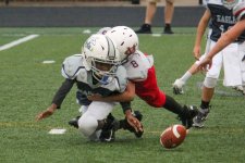 IMG_20250823_201024.jpg
