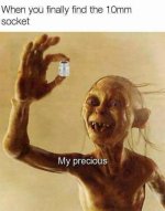 IMG_5382.jpeg