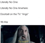 literally-no-one-literally-no-one-anwhere-doorbell-on-tv-rings-my-dog-war.png