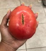 IMG_3323.jpeg