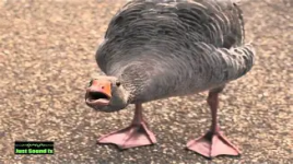 1759699342230.png