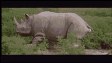 1759769013939.gif