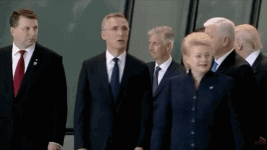 ye844js13ozy[1].gif