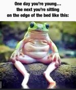 Happy Birthday Frog.jpg