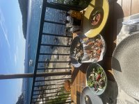 IMG_2969.jpeg
