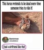 1000026480.jpg