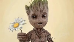 Groot.jpg