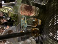 IMG_8190.jpeg