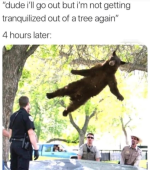 1760730167358.png