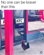 1000026589.jpg