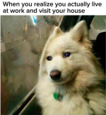 1760920395345.png