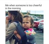 1761021072297.png