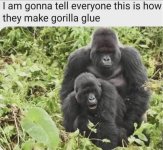 IMG_0108.jpeg