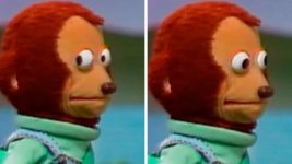 IMG_6555.jpeg IMG_6555.jpeg