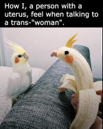 1761317391838.png
