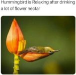 IMG_5695.jpeg
