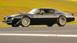 bandit 77 trans-am.jpg