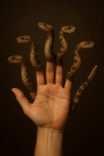 977A483A-8E1B-4489-AF4F-9E36DE3DDACB.png
