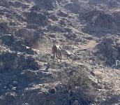 IMG_1547.jpeg