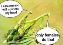 1000026818.jpg