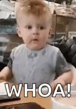 1762050171534.gif 1762050171534.gif