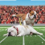 JPEG image-4D6D-B6C5-BB-0.jpeg