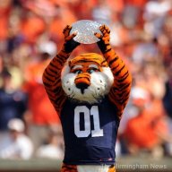 aubie