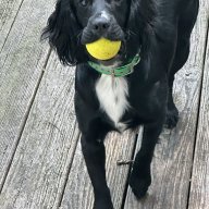 NedRacineDawg