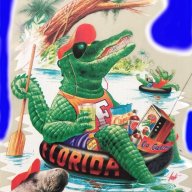 SwampGatorBR
